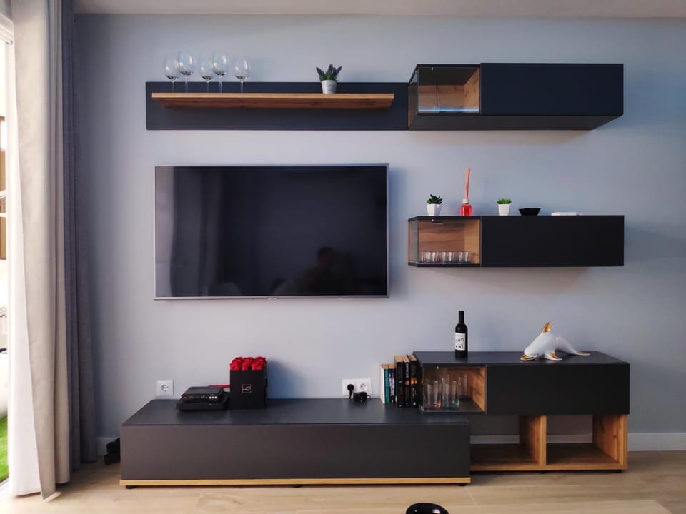 TV and multimedia