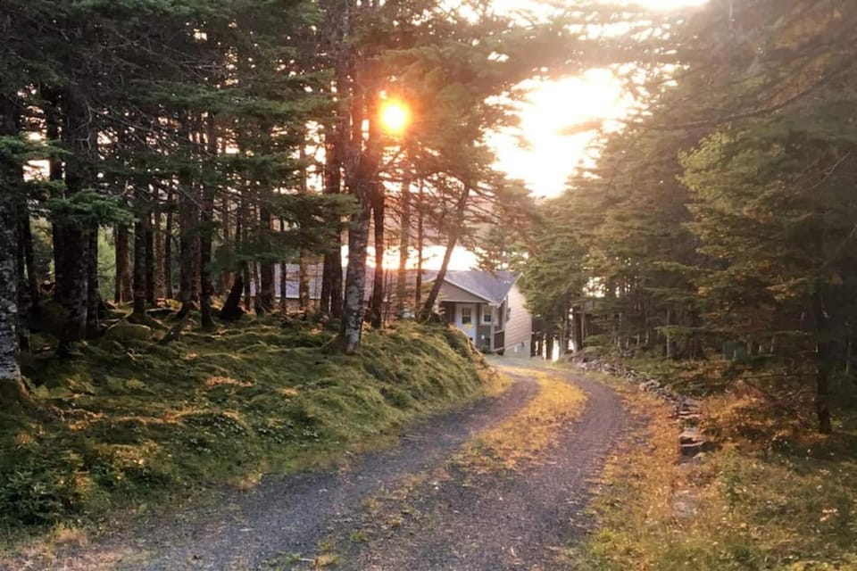 BEST View Wonderland-Cozy Cabin on Pond Cabin in Newfoundland and Labrador