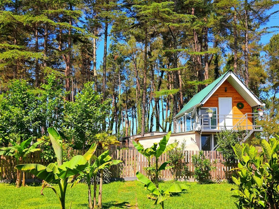 Property building, Natural landscape, Garden, Garden view