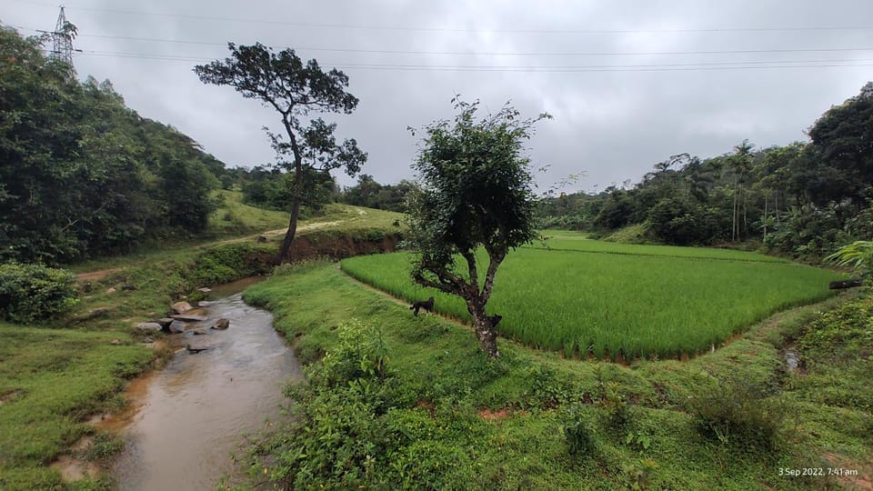 Mugilu for families and couples only Vacation rental in Karnataka