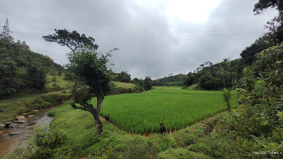 Mugilu for families and couples only Vacation rental in Karnataka