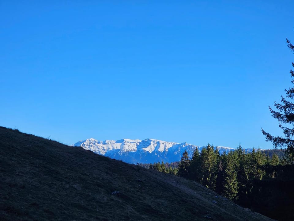 Pensiunea Kyfana Zarnesti Bed and Breakfast in Brașov County