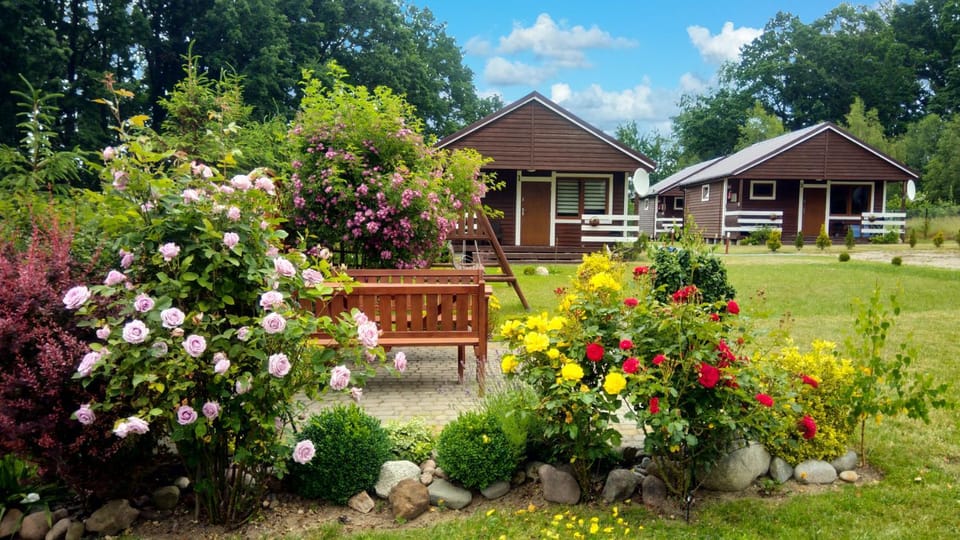 Natural landscape, Summer, Garden, Garden view