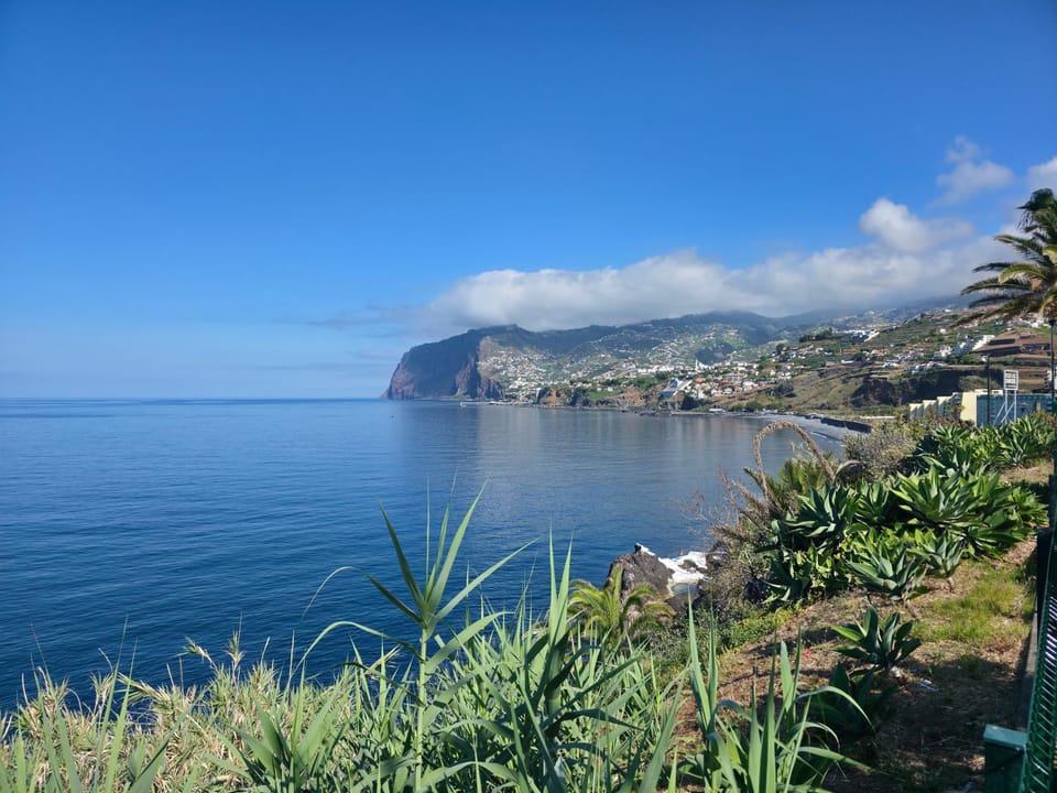 Natural landscape, Beach, Swimming pool