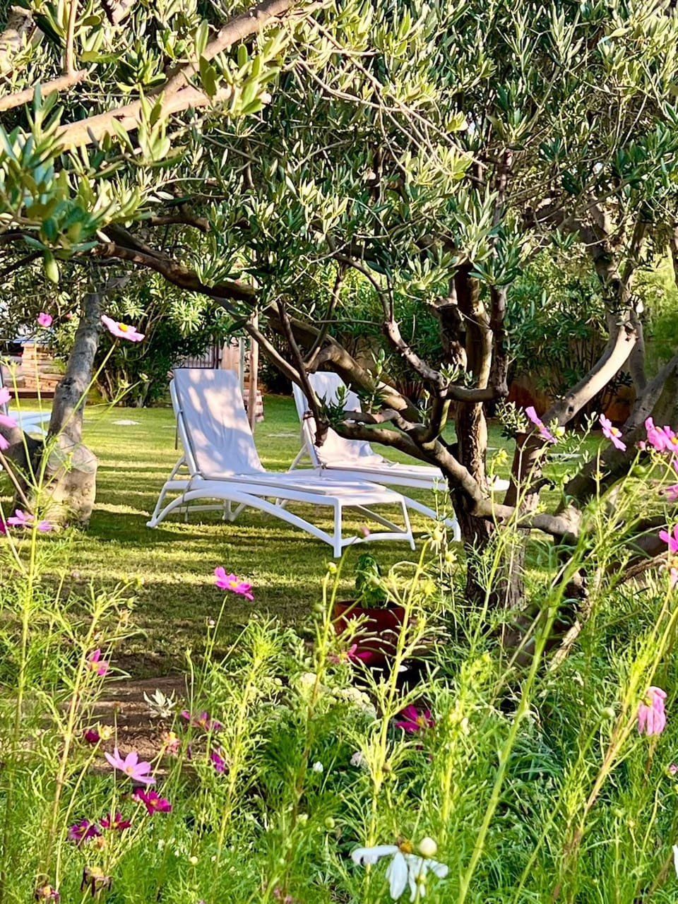 Bed&Breakfast Vanni Bed and Breakfast in Zadar County