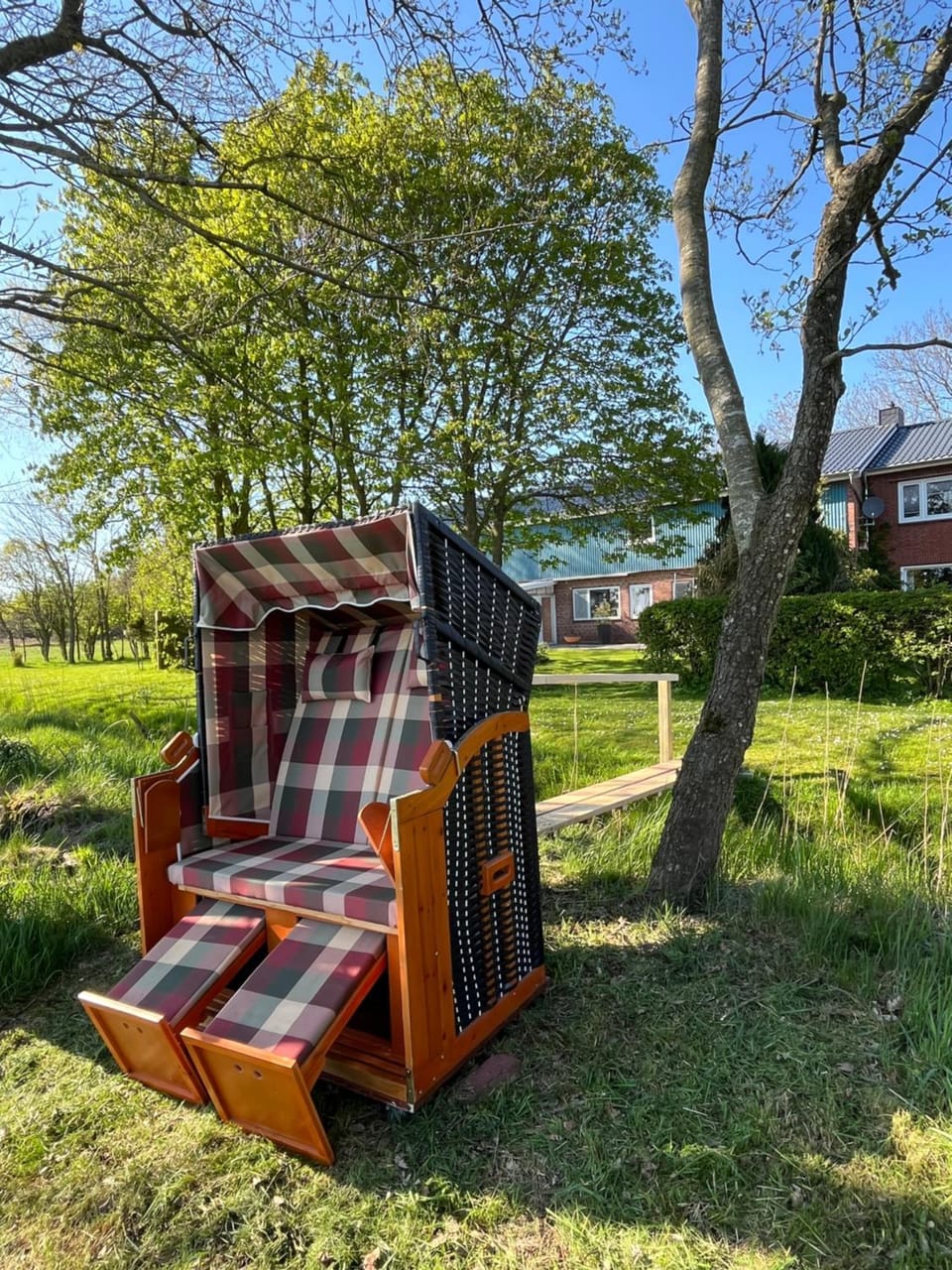 Natural landscape, Garden, Seating area, sunbed