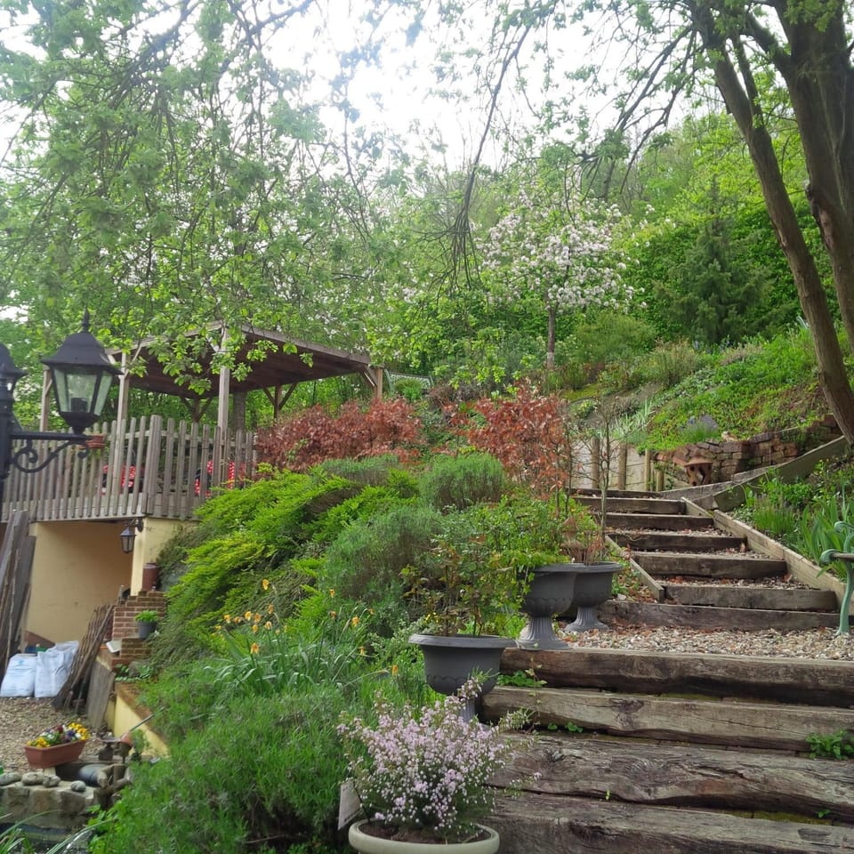 DUCK HOUSE Bed and Breakfast in Normandy