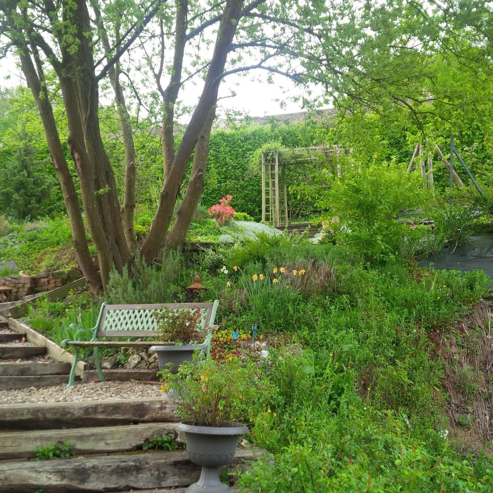 DUCK HOUSE Bed and Breakfast in Normandy