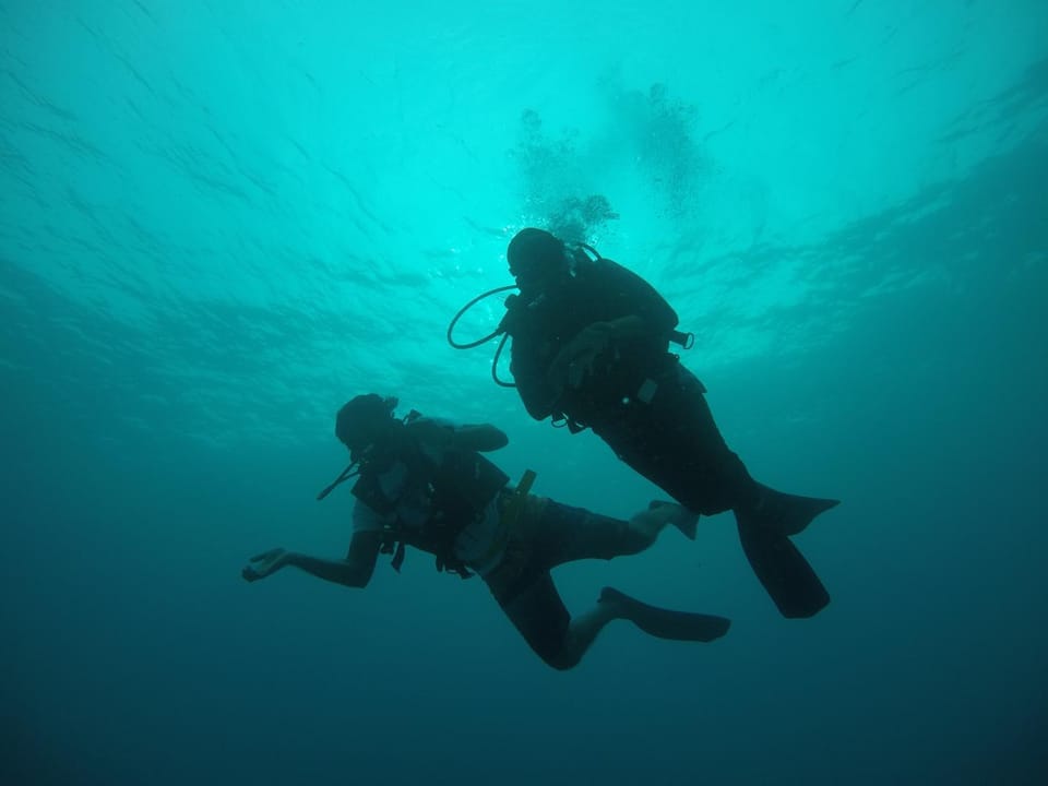 Diving