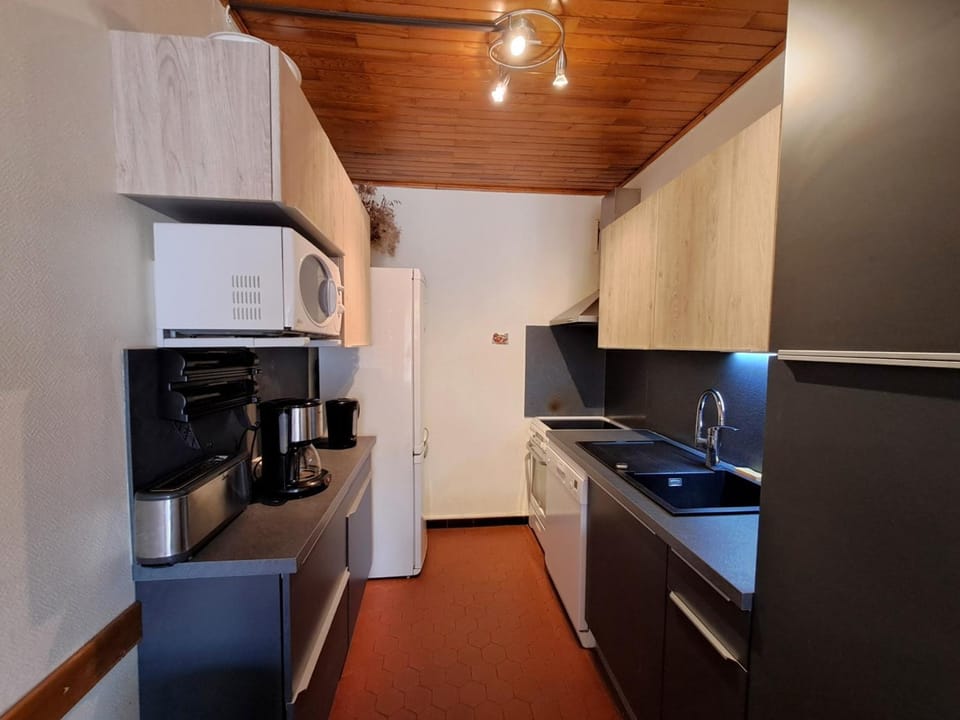 Appartement 8 pers, près des pistes, animaux admis Apartment in Les Deux Alpes