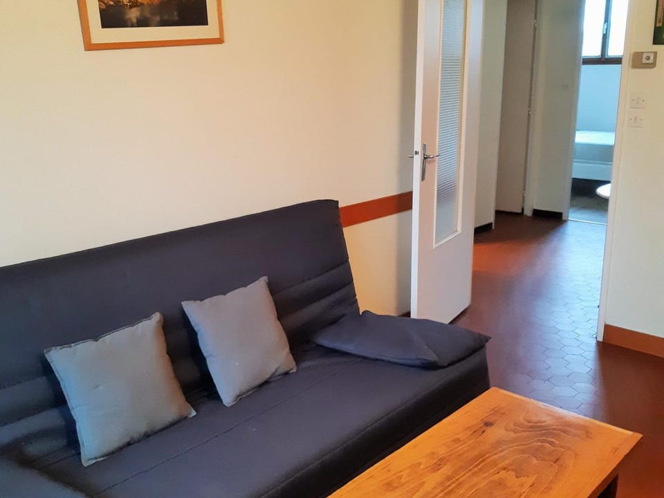 Appartement 8 pers, près des pistes, animaux admis - FR-1-516-5 Apartment in Les Deux Alpes