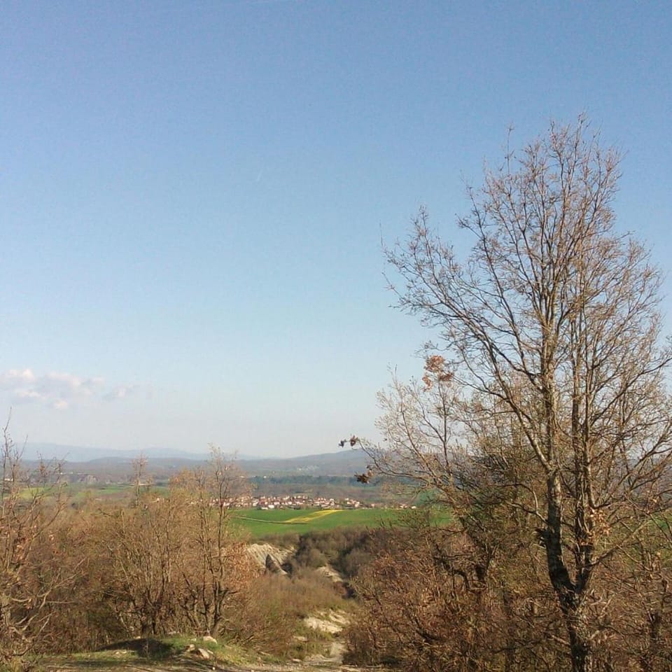 Natural landscape