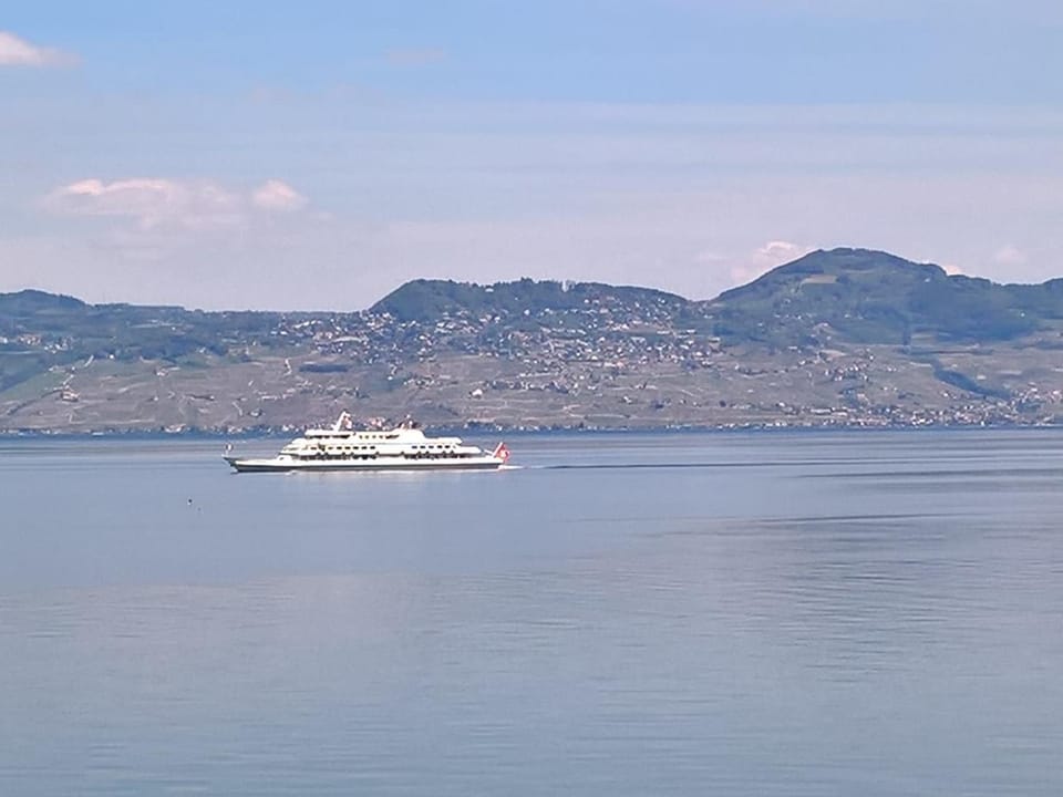 Studio cosy près des quais d'Evian - FR-1-498-51 Apartment in Évian-les-Bains