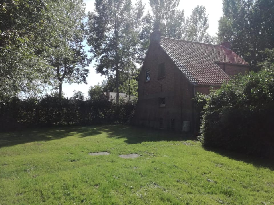 Property building, Spring, Garden, Garden view