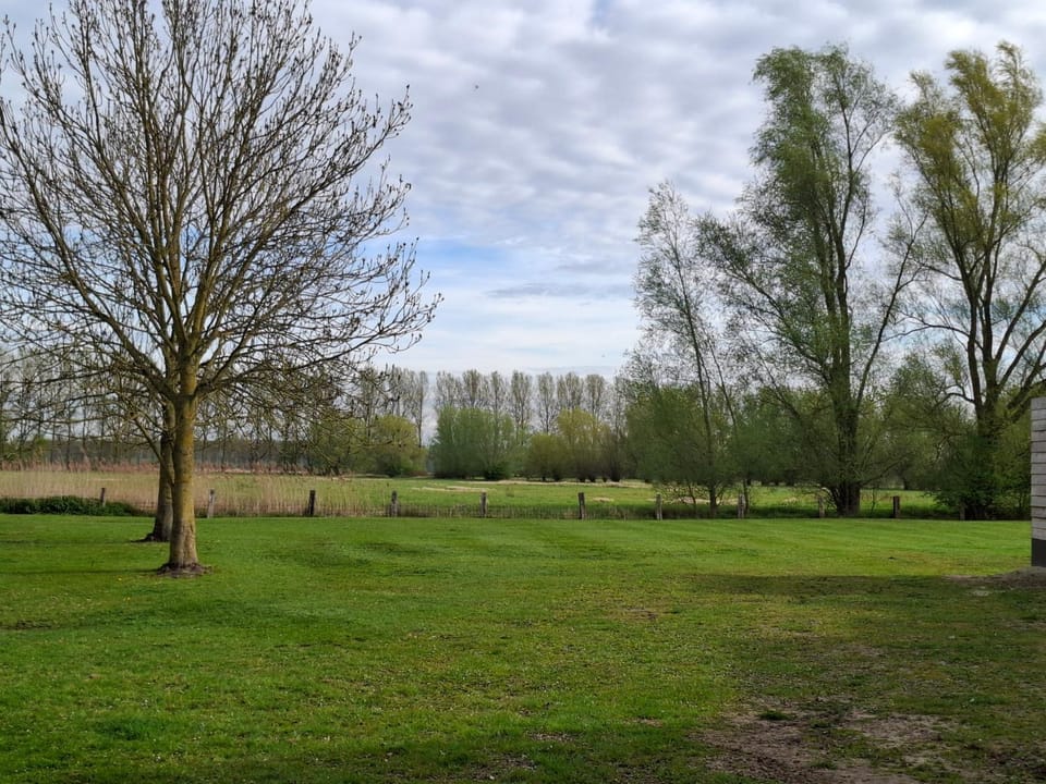 Natural landscape, View (from property/room)
