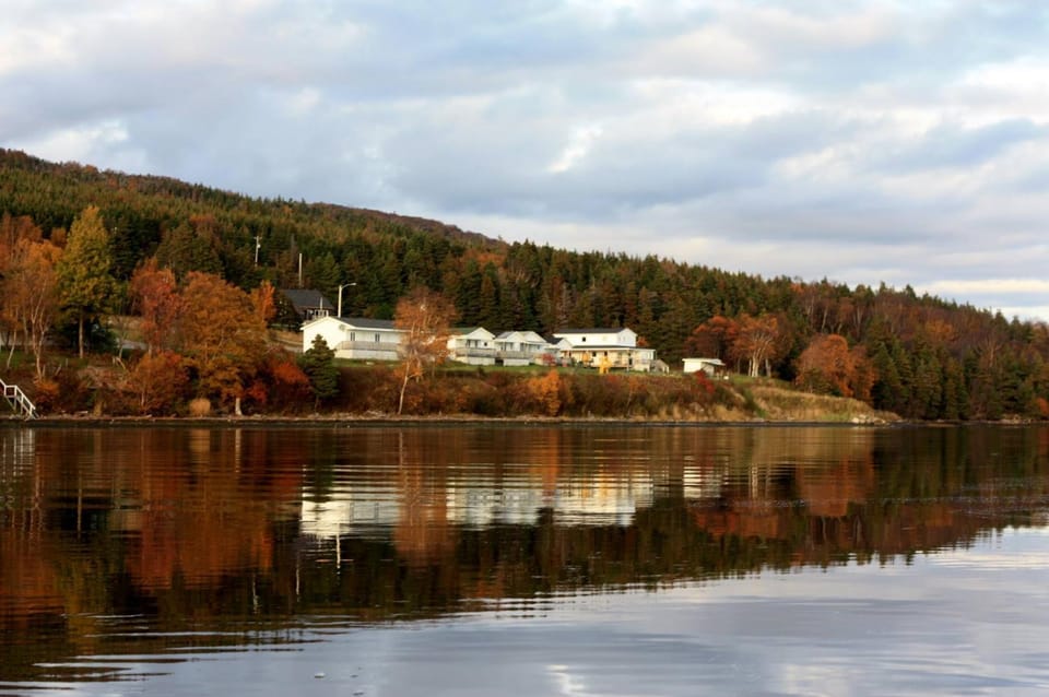 Natural landscape, River view