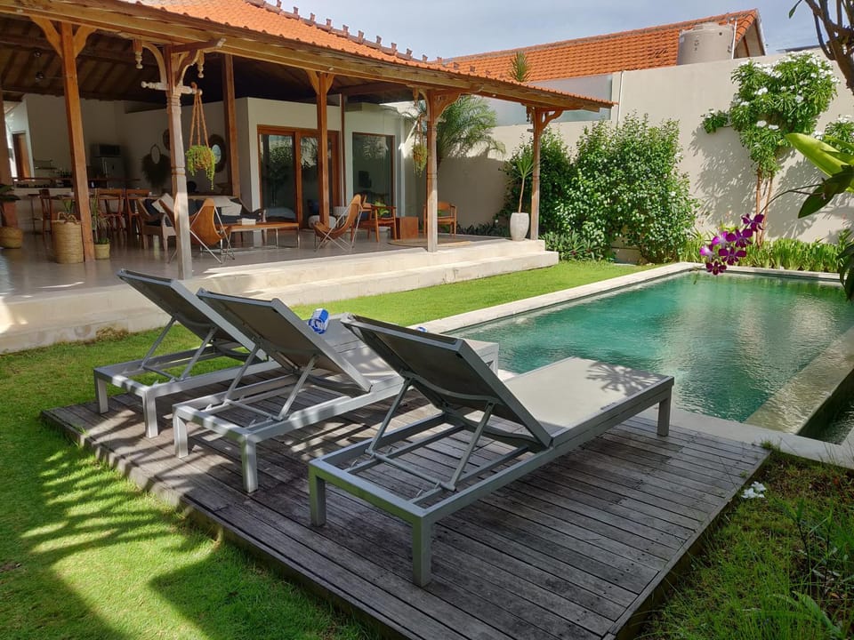 Garden, Pool view, Swimming pool, sunbed