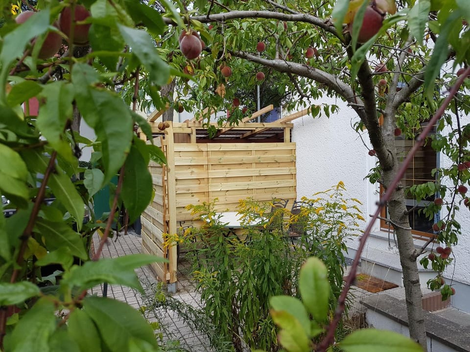 BBQ facilities, Seating area