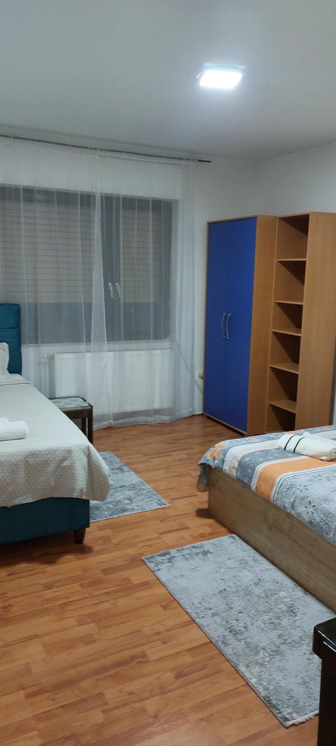 Apartman Aleksic Apartment in Serbia