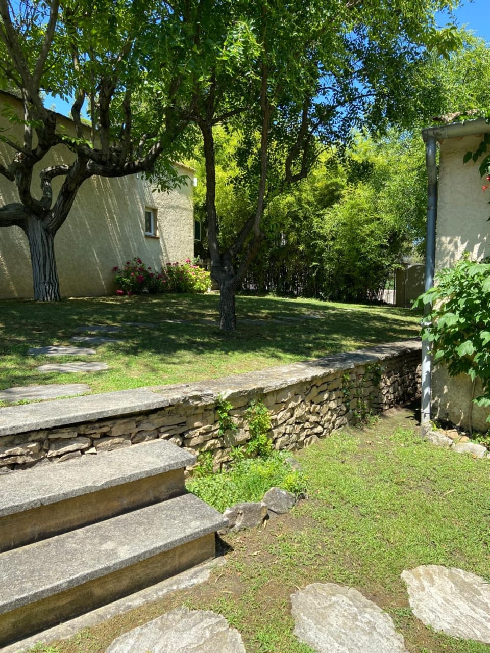 Natural landscape, Garden, Garden