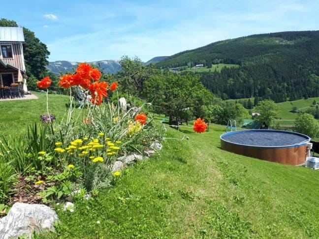 U Novotných Bed and Breakfast in Lower Silesian Voivodeship
