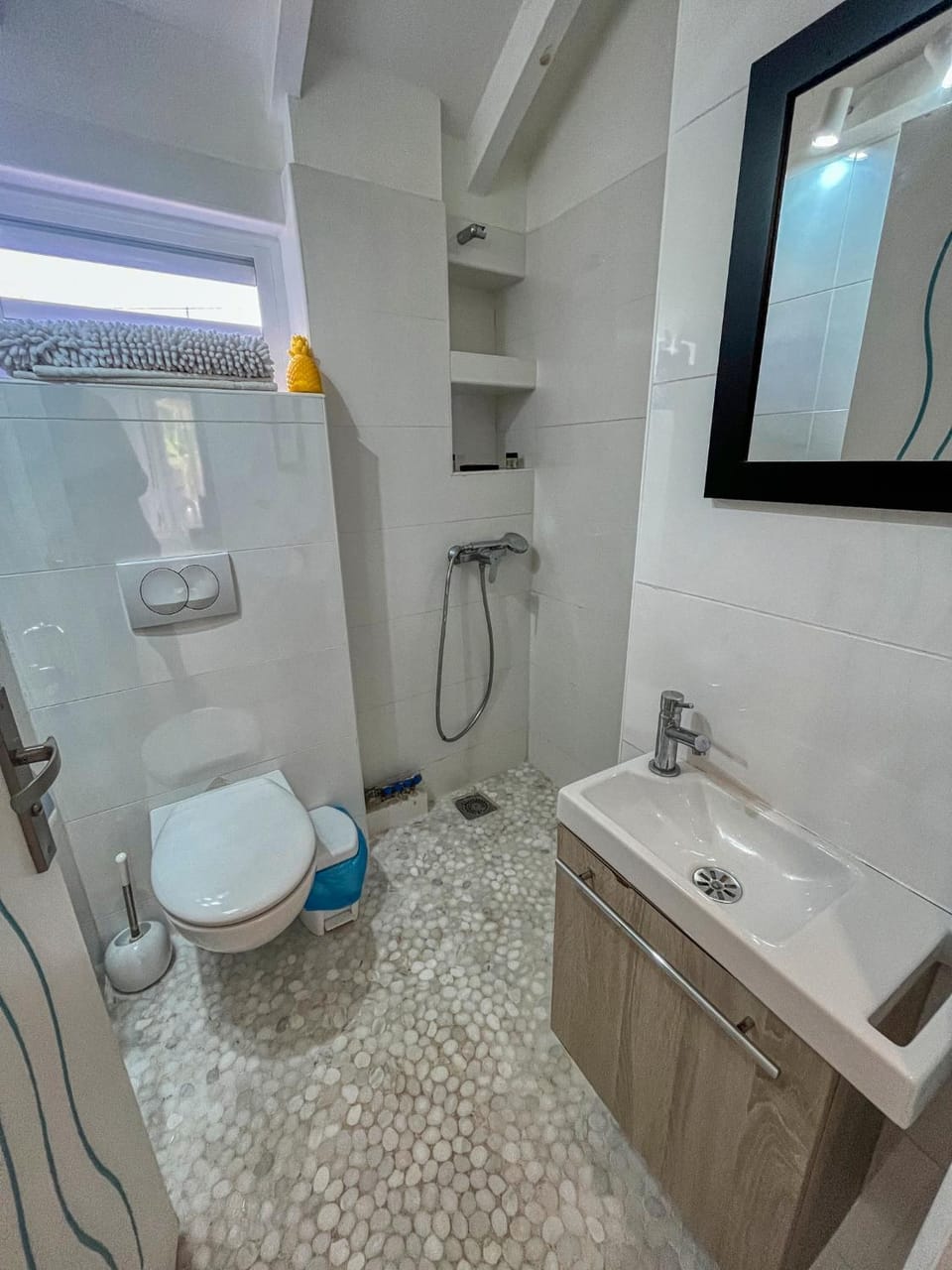 Shower, Toilet