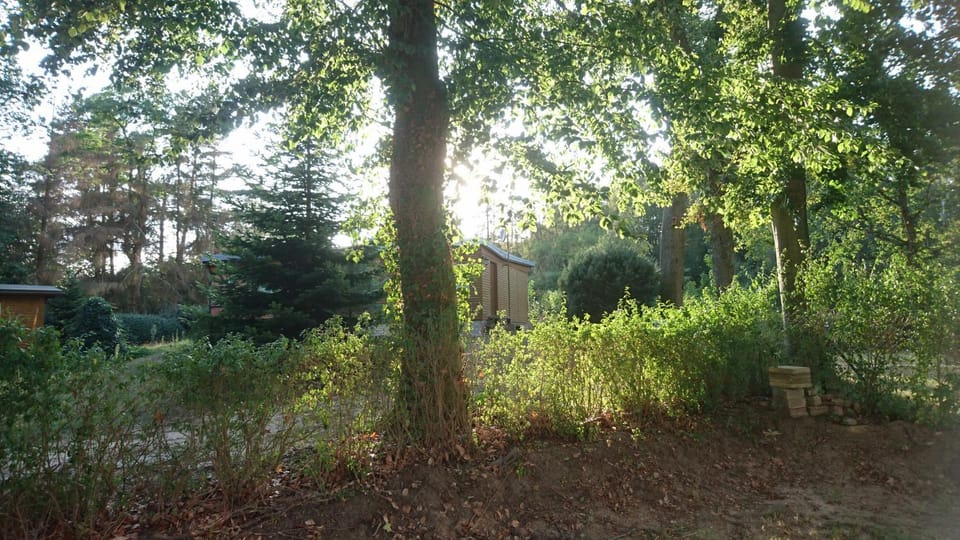 Property building, Garden