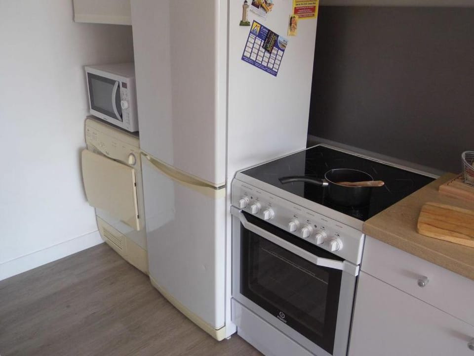 Kitchen or kitchenette, minibar, pet friendly, stove