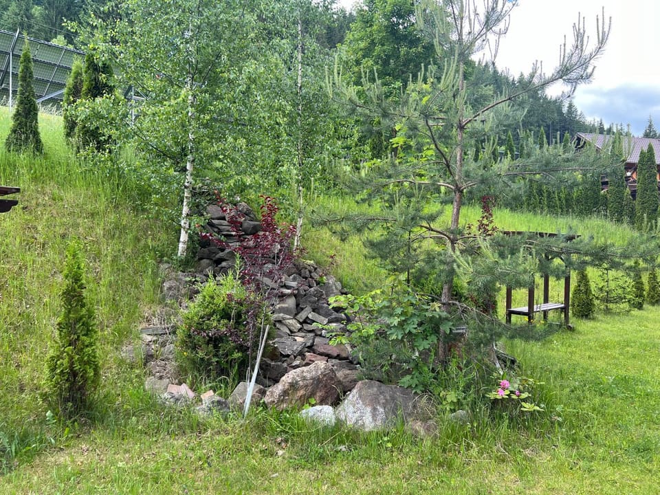 Pensiunea Vranis Bed and Breakfast in Romania