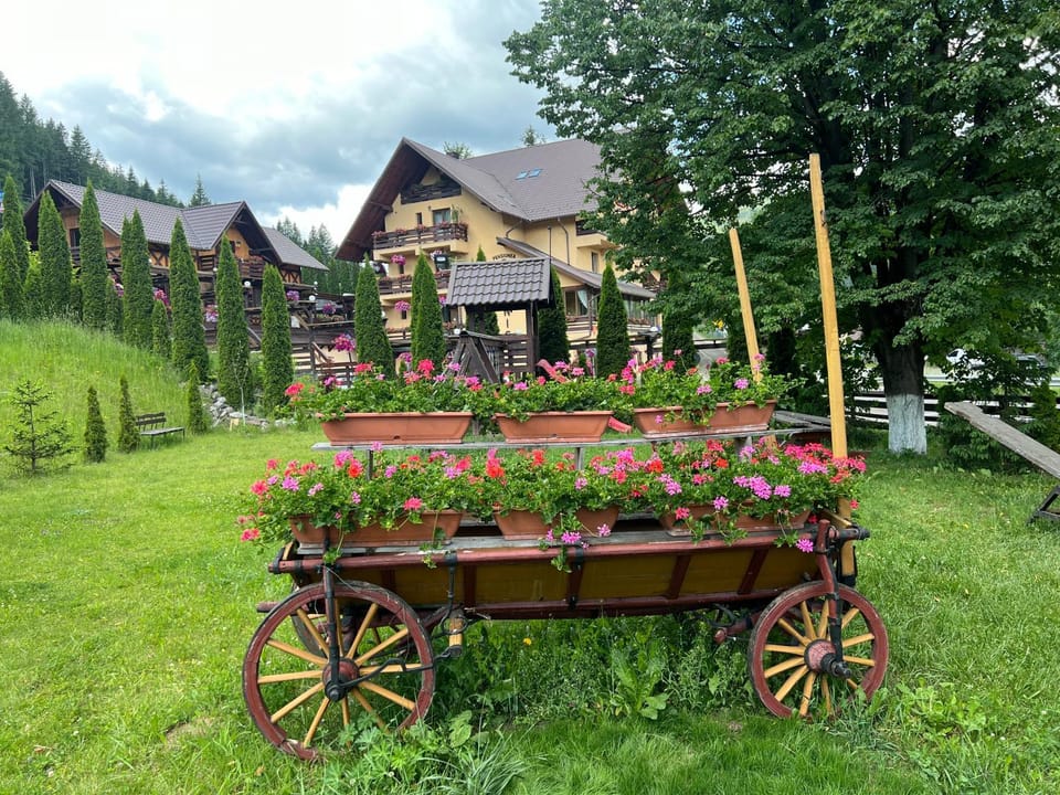 Pensiunea Vranis Bed and Breakfast in Romania