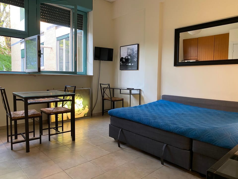 Easy & Cosy studio in Flaminio Apartment in Rome