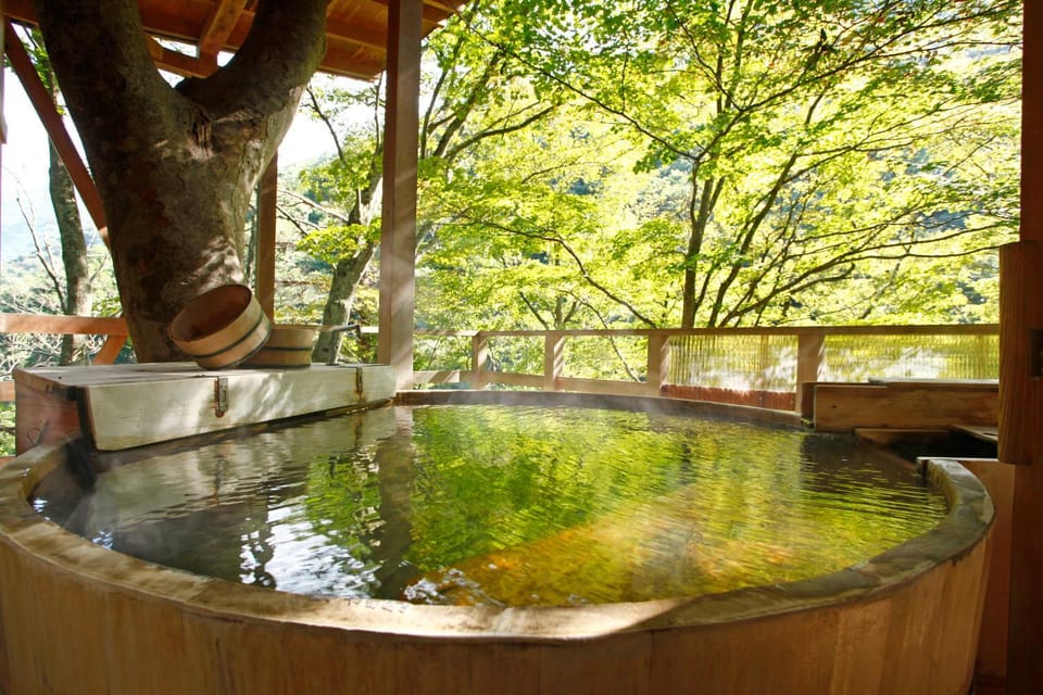 Day, Summer, Hot Spring Bath, On site, Mountain view, Open Air Bath