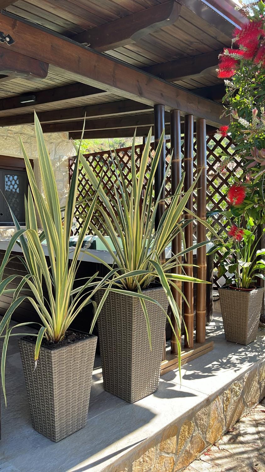 Palma Beach House Apartment in Halkidiki