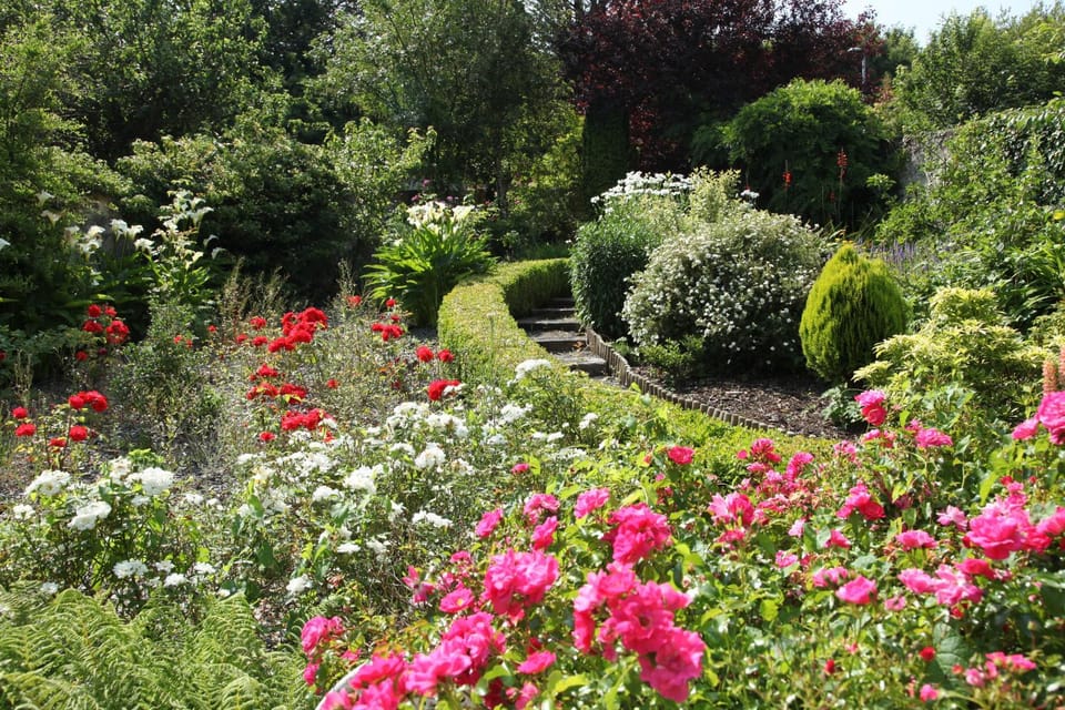 Roscaoin House Bed and Breakfast in Westport