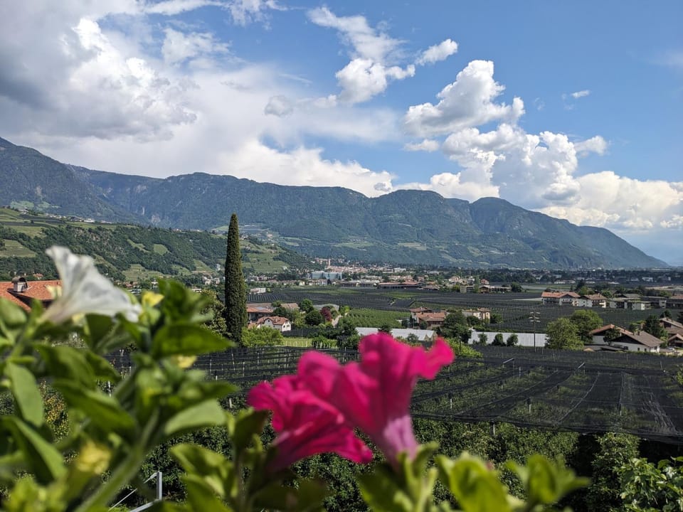 View (from property/room), Mountain view