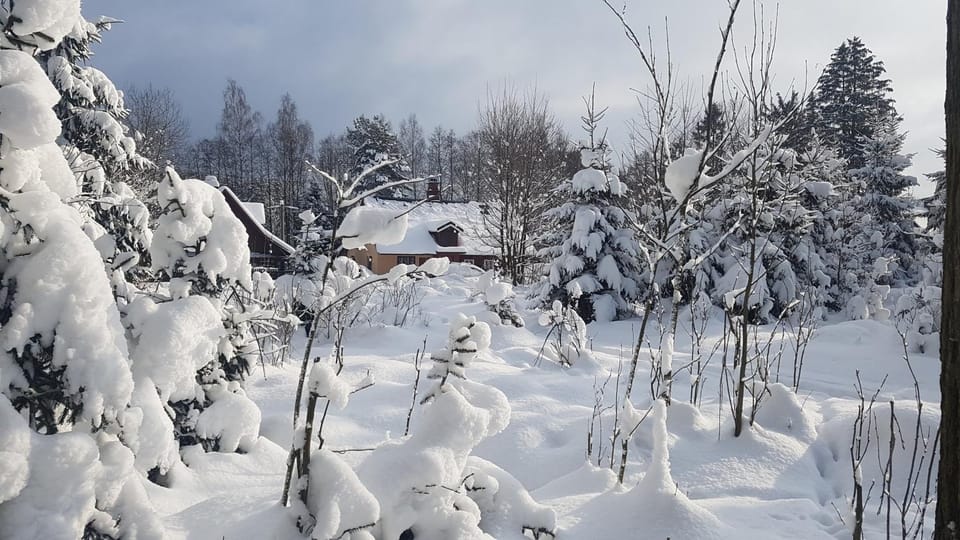 Property building, Winter