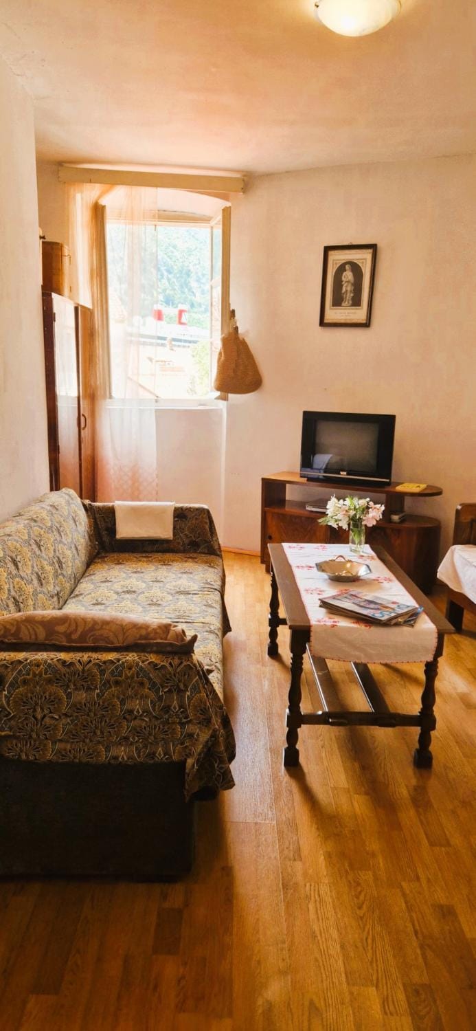 Biuk Apartment in Kotor