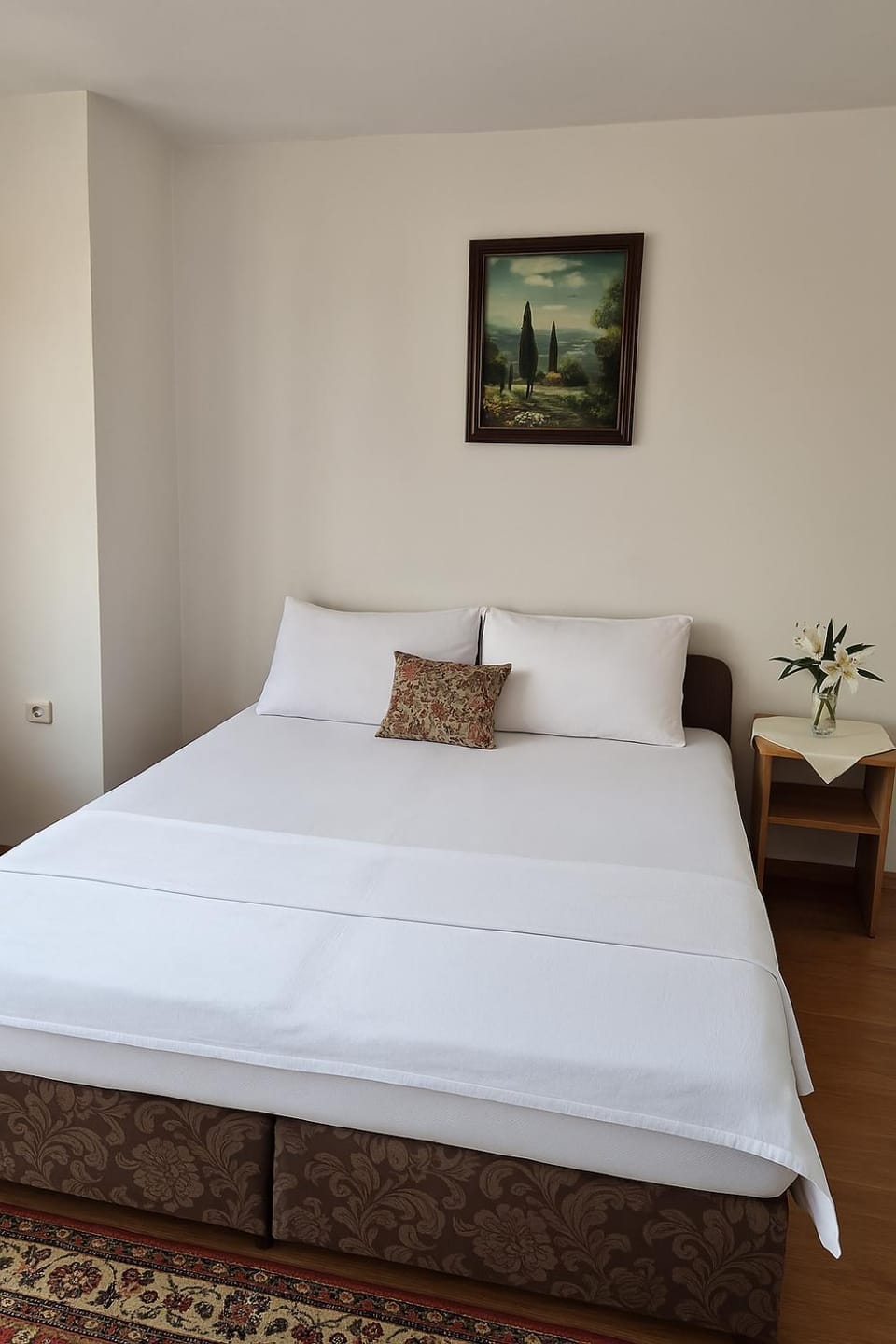 Biuk Apartment in Kotor