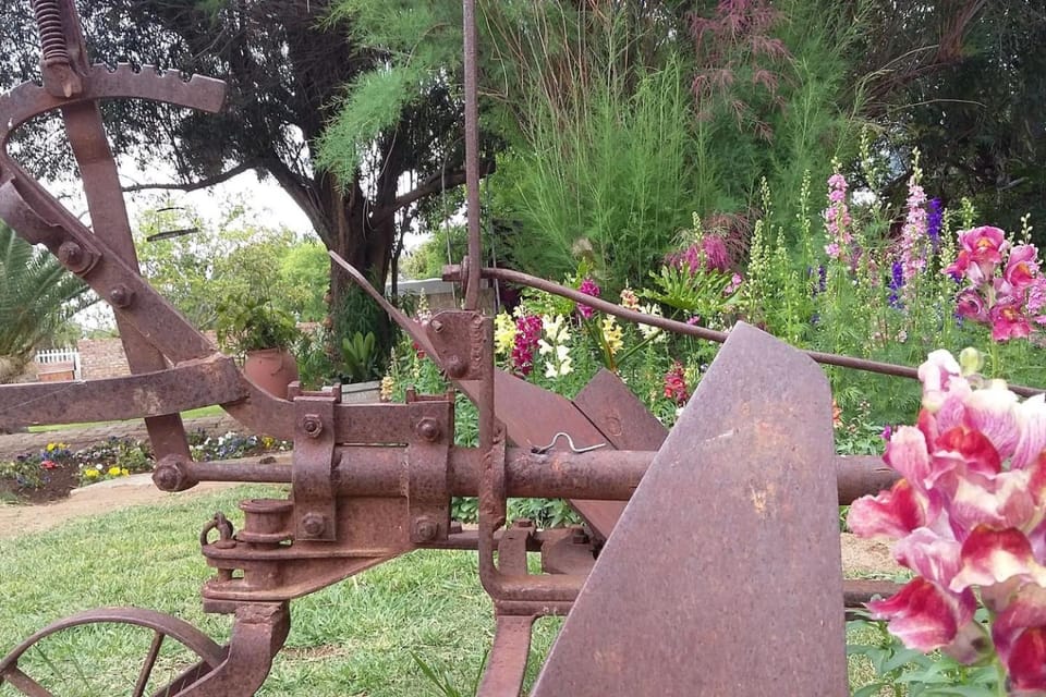 Garden, Garden view