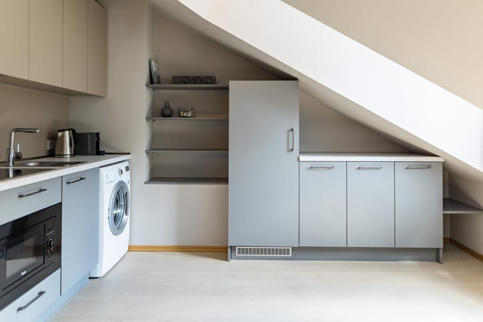 Kitchen or kitchenette, dishwasher, stove