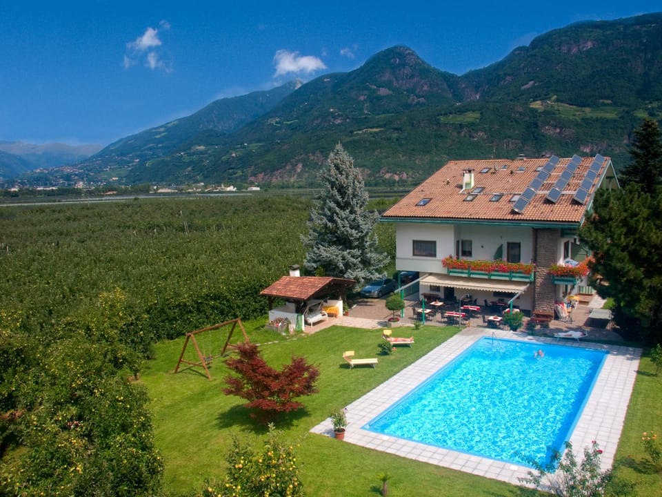 Garden, Swimming pool