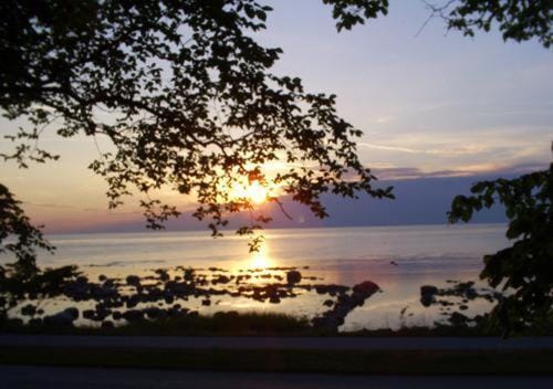 Chokladvillan Vacation rental in Gotland County, Sweden