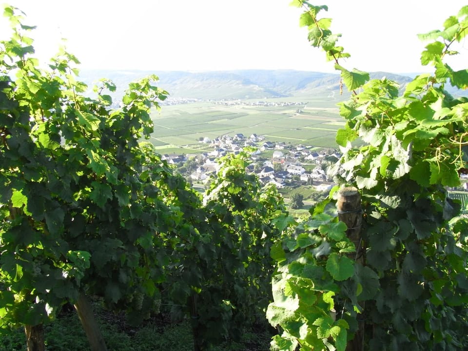 Natural landscape