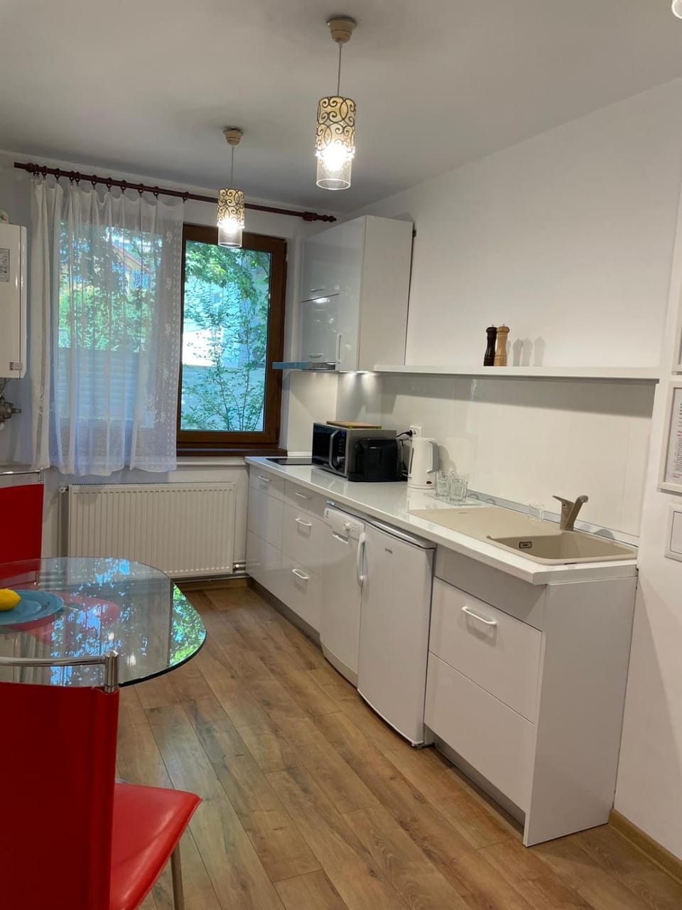 Kitchen or kitchenette, Dining area, dishwasher, stove