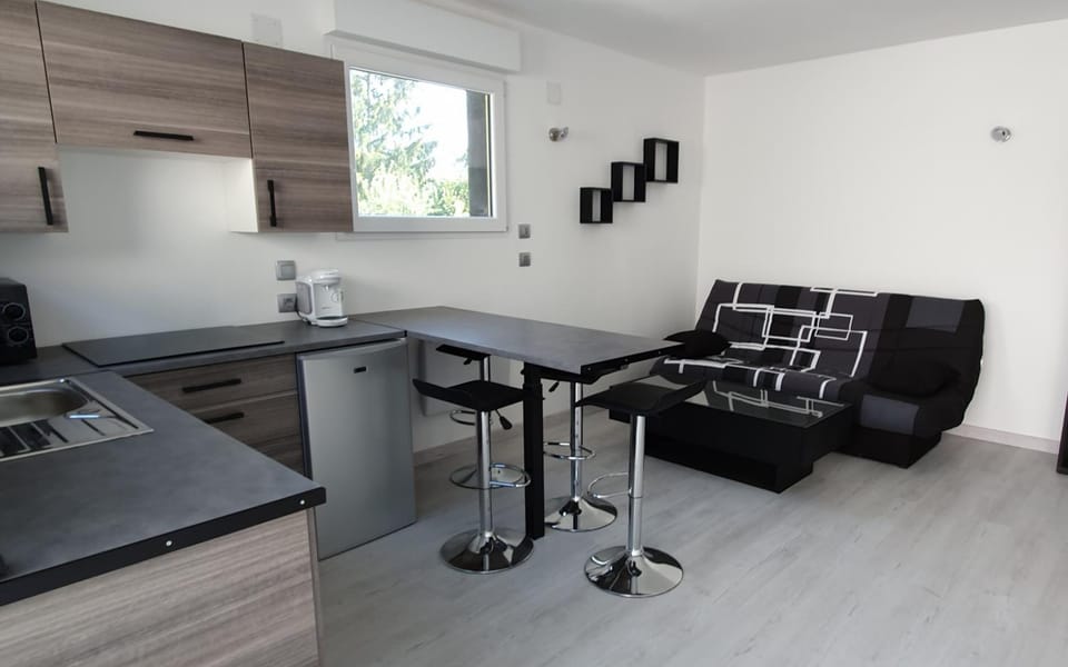 Au petit canal de COLMAR 2 Apartment in Baden-Württemberg