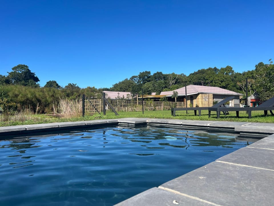 Summer, Garden, Garden view, Garden view, Swimming pool