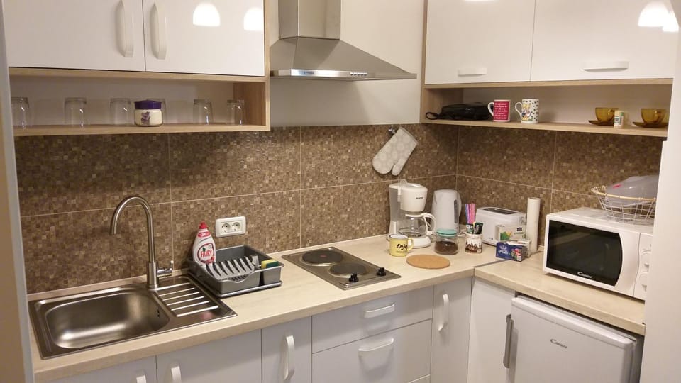 Enjoy Apartment Apartment in Timisoara