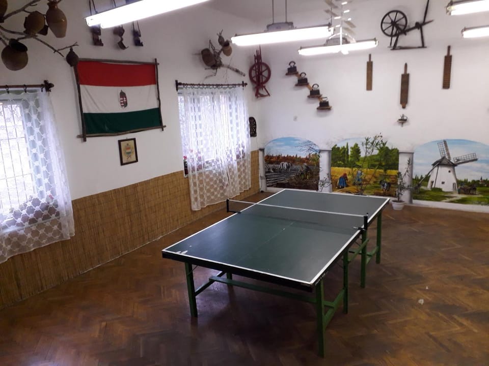 Table tennis, Other, Area and facilities