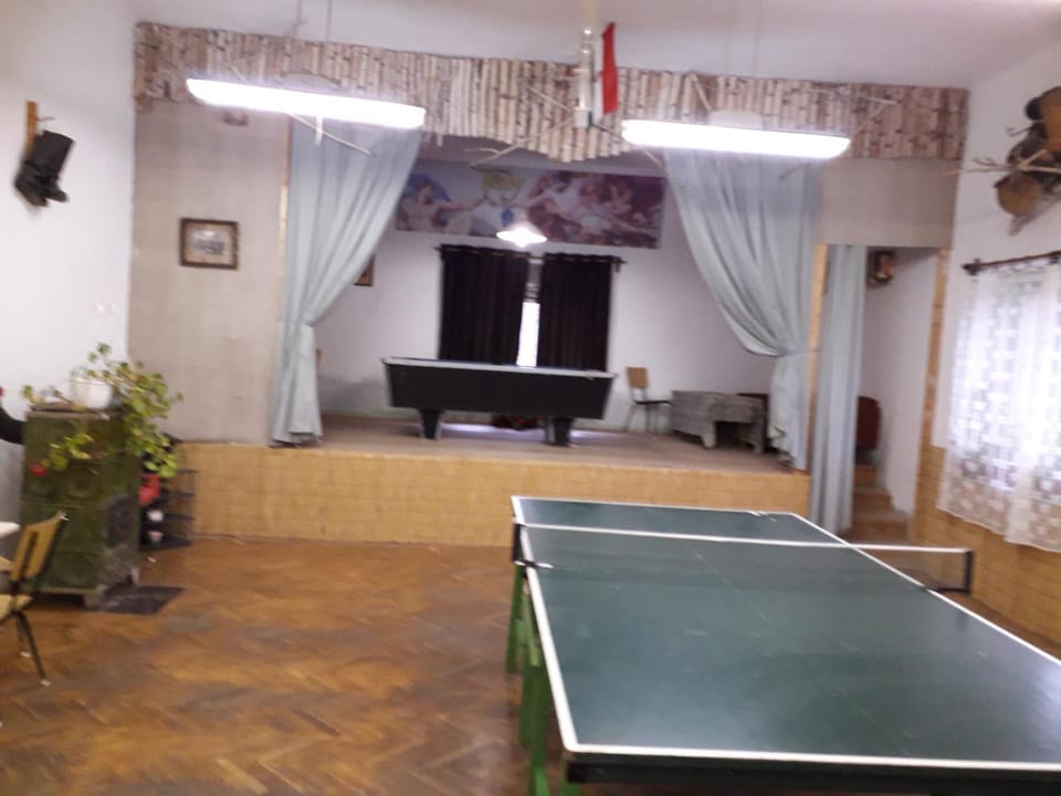 Table tennis, Area and facilities