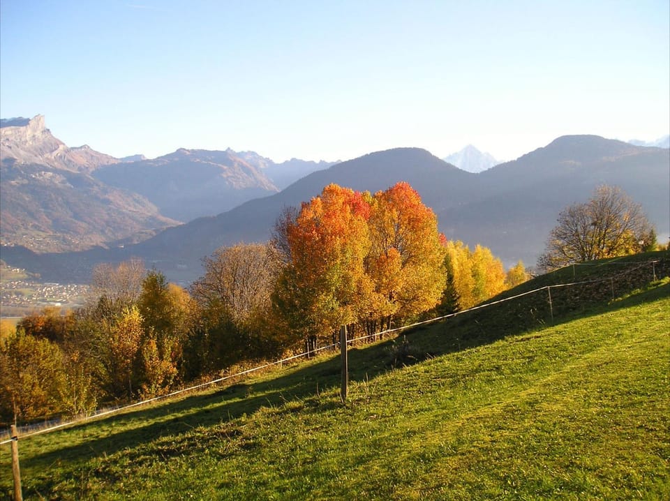 Autumn, Mountain view